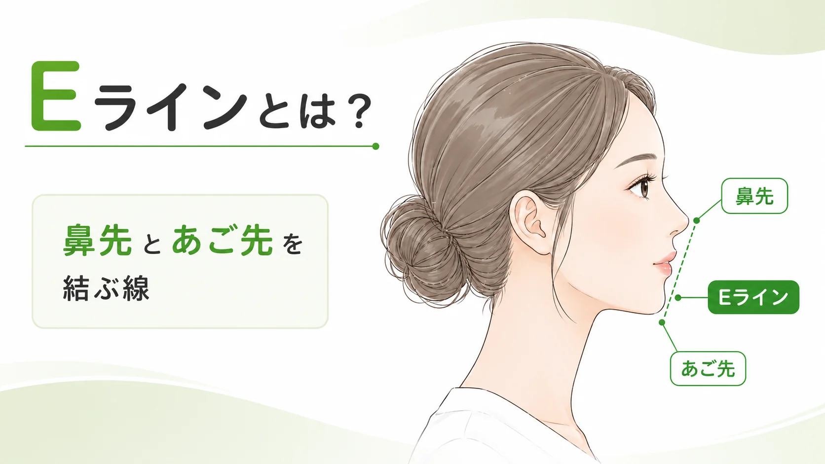 Eラインとは鼻先とあご先を結んだ横顔の目安を示す図