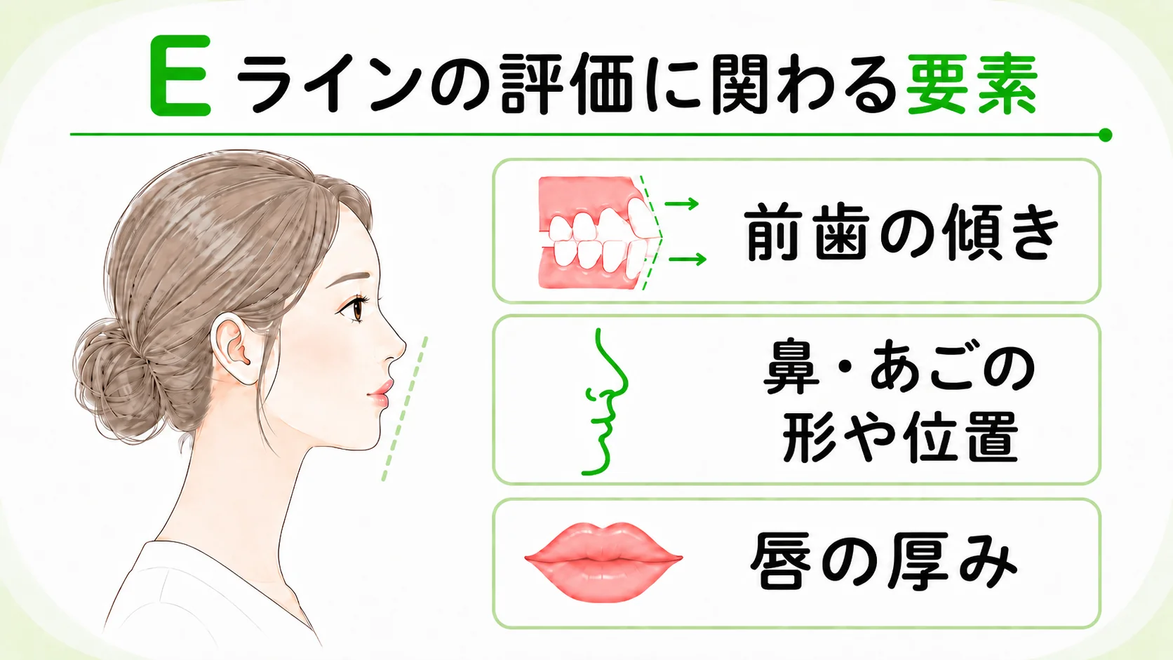Eラインの評価に関わる前歯の傾き・鼻やあごの形や位置・唇の厚みを示す図